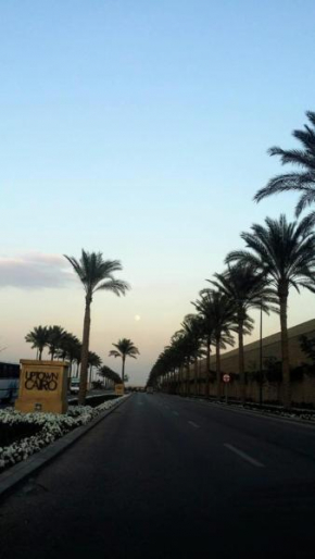 In the heart of cairo